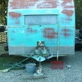 1947 Kitco Companion Front
